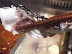 -老牌坊云南鱼豆花火锅(嵩山店)