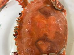 螃蟹-春华海鲜城(广场西苑店)