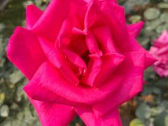 -人民公园(罗湖区)