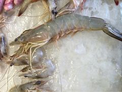 天天海鲜大排档-天天海鲜城·海鲜大排档(新溪店)