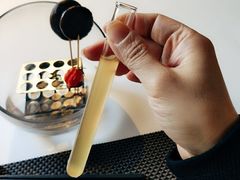 -FOUNT创意日料