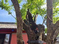 -龙王庙行宫