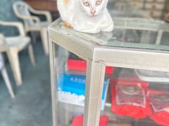 -潮镇老尾牛杂(环城西路店)
