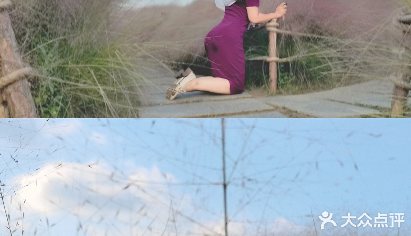 现在！秋天～乱粉黛子正粉时！