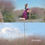 现在！秋天～乱粉黛子正粉时！
