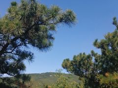 -北京十三陵国家森林公园蟒山景区