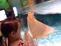 -沈阳海洋探索中心