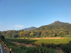 -灵顺寺