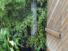 android_upload_pic-Geneva日内瓦餐厅(西郊宝成花苑店)