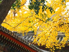 -中山公园