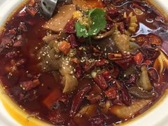 -朝郡酒家·粤菜(燕大星苑店)