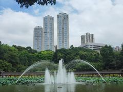 -龙头寺公园