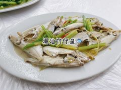 -老三鱼仔店