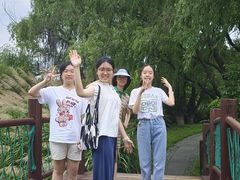 -苏州太湖国家湿地公园