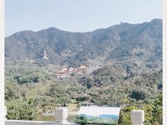 -深圳仙湖植物园