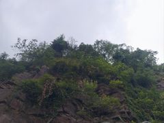 -苏州上方山国家森林公园