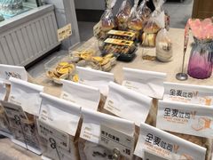 -法莱索尔(奥莱店)