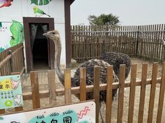 -太阳岛旅游度假区
