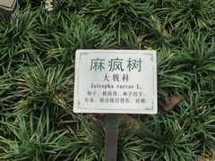 -广州神农草堂中医药博物馆