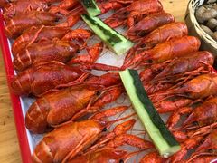 -不炭白烧烤(成都首店)