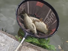 -酷鱼垂钓CLUB(朝阳区博大路店 )