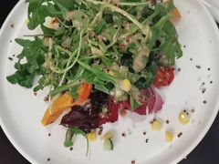 -百好乐宠物友好餐厅(朝外大街店)