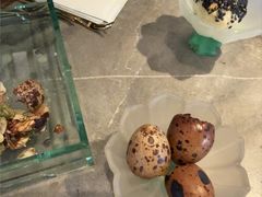 -豫园湖心亭茶楼