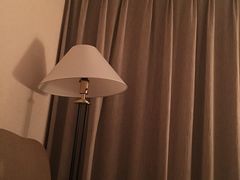 -成都天府丽都喜来登饭店