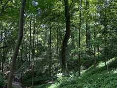 -岳麓山风景名胜区