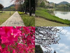 -顺峰山公园