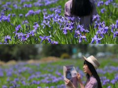 -白鹭湾湿地公园