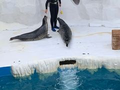 -秦皇岛乐岛海洋王国