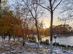 -大兴滨河森林公园