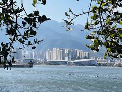 -洱海月湿地公园