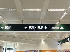 -米兰马尔彭萨国际机场