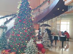 -上海明天广场JW万豪酒店