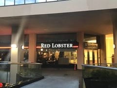 -RED LOBSTER(多伦多DT店)