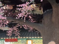 -荷塘秋月·本帮江浙菜(国权路店)