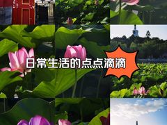-北海公园