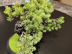 -梁溪河畔·吉府花园(南长街南下塘店)