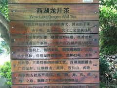 -十八棵（老龙井）御茶园(老龙井店)