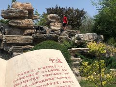 -武清南湖绿博园