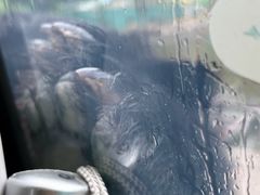 -栾川竹海野生动物园