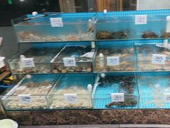 -晓伟海鲜家常菜