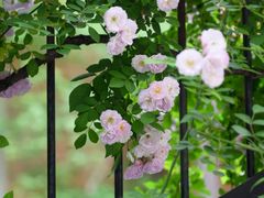 -常熟路(地铁站)