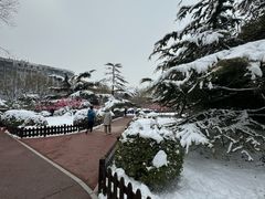 -莲花池公园