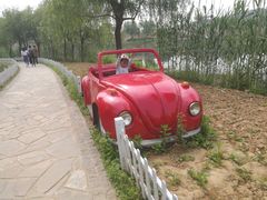 -大塘金香草谷