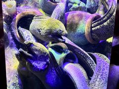 -太平洋海底世界