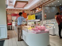 -蒲公英(五里店)
