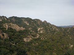 -大岭沟猕猴桃谷风景区